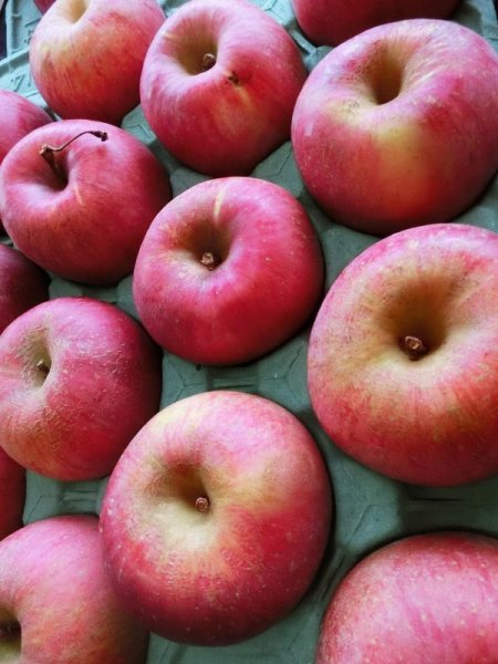 画像2: D-3　 サンふじ（家庭用）3kg+ 無添加 果汁100％りんごジュース1,000ml×2 (2)