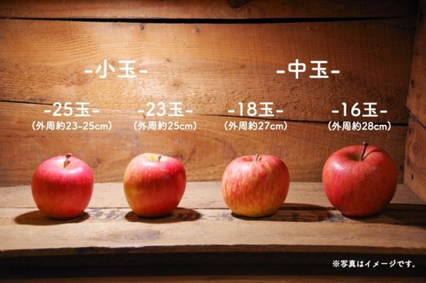 画像3: E-3 サンふじ　家庭用15kg（50〜60玉　多少難ありサイズおまかせ） (3)