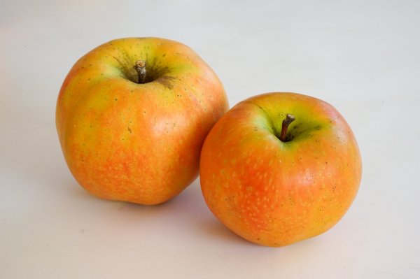 画像3: NA-0　なかののきらめき　家庭用〜贈答用3kg（玉数おまかせ） (3)