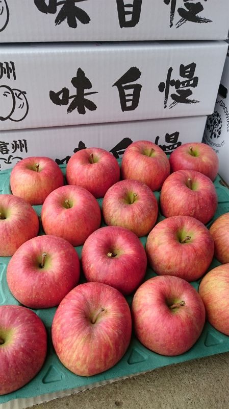 サンふじ3ｋｇ販売開始しました！！