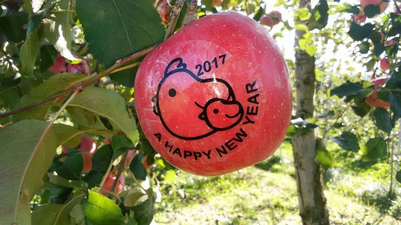 今年の干支りんごは・・・