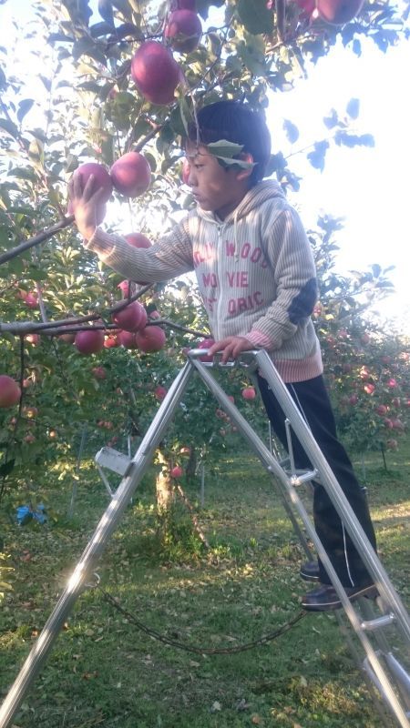 息子も玉回し(*^^*)